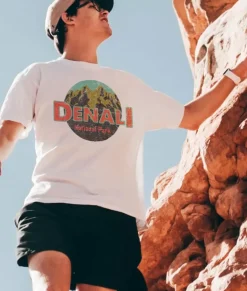Men'S Ridiculously Soft Midweight Graphic Tee | Denali National Park