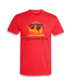Men'S Ridiculously Soft Midweight Graphic Tee | Yellowstone Park