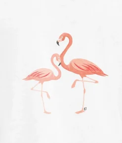 Women'S Ridiculously Soft Lightweight Graphic Tee | Pink Flamingos